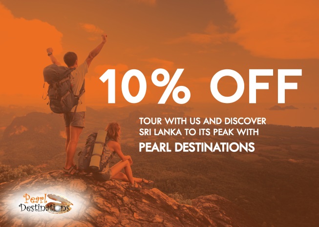 Savings on Early Bird Tours