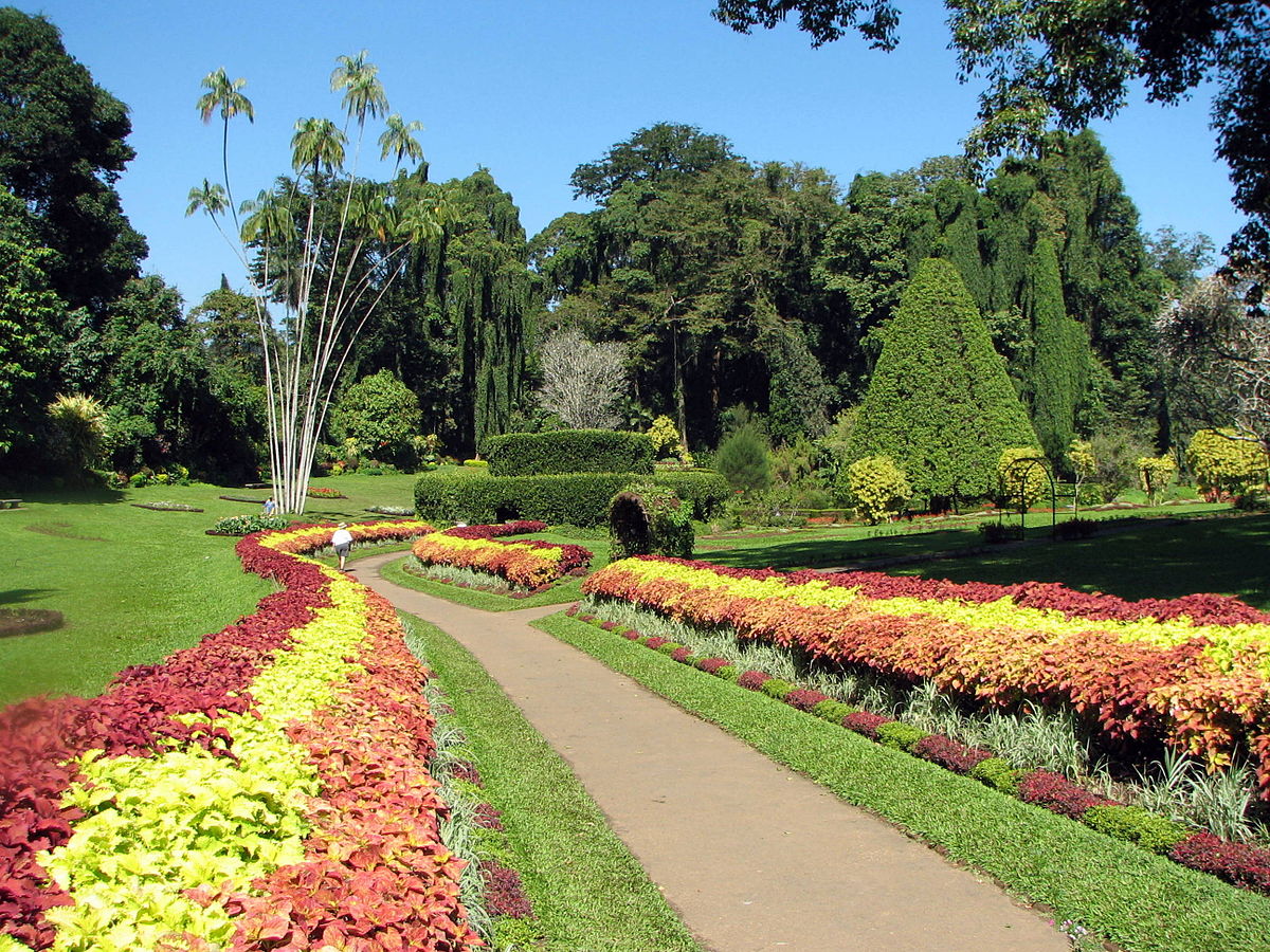royal-botanical-gardens-sri-lanka