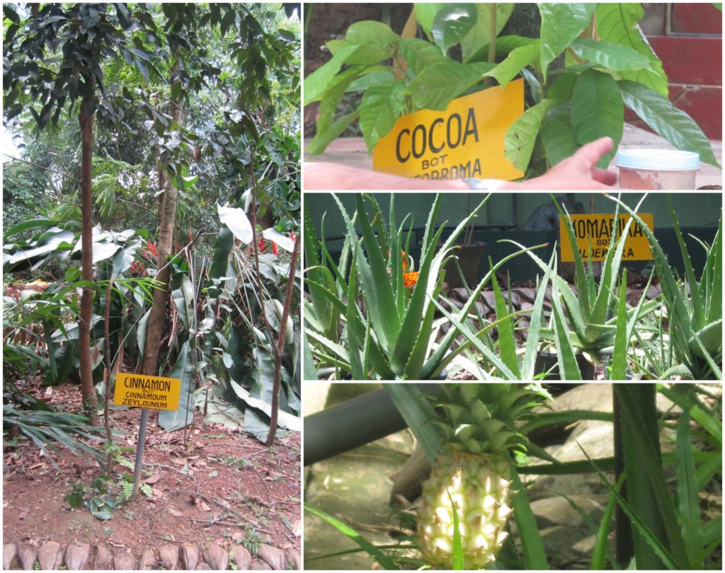 spice-gardens-sri-lanka