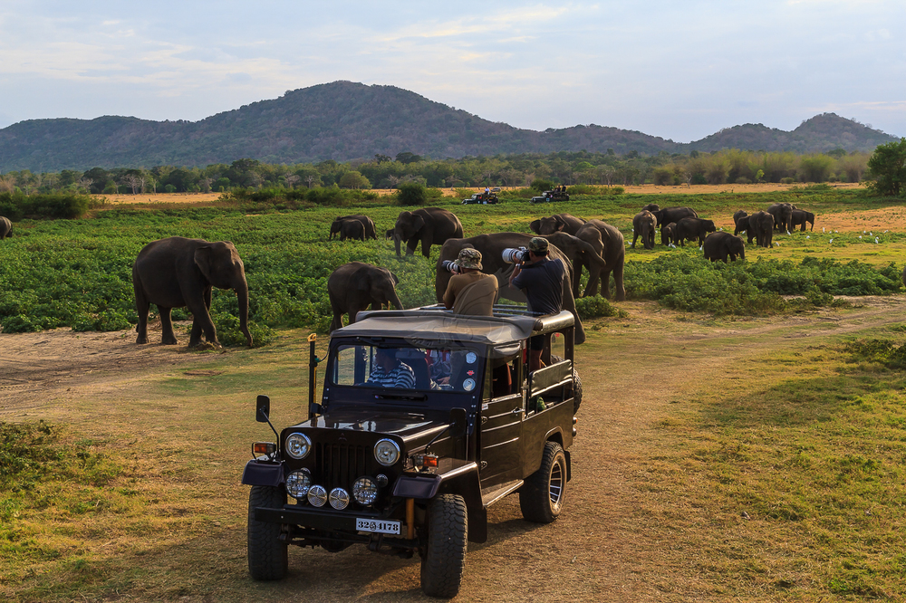 wildlife-jeep-safari-sri-lanka